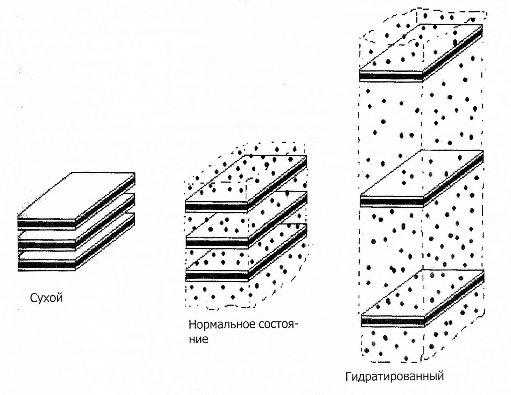 Схема глинистых пластин бентонита.jpg